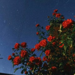 너를 위해 살아간다는 건