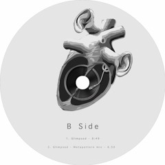 B2 - Glimpsed - (Metapattern Remix)