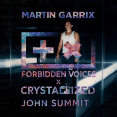 Martin Garrix, John Summit - Forbidden Voices x Crystallized (Fabi Mashup)