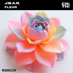 Fleur (Original Mix)