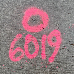 circle 6019