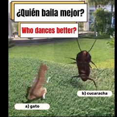 Quien baila mejor??