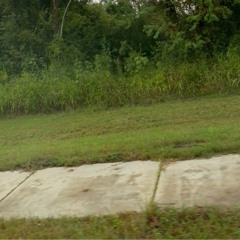 story of my life w/ vaig