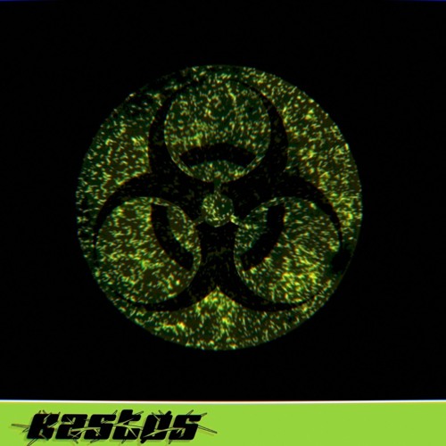 Bastøs - Not Here [FREE DL]