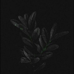Adelyn Paik -Lone Voyage (slowed+reverb)