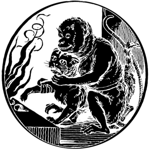 Noir Recommends (Techno, Deep, Hypnotic, Dub, Ambient)