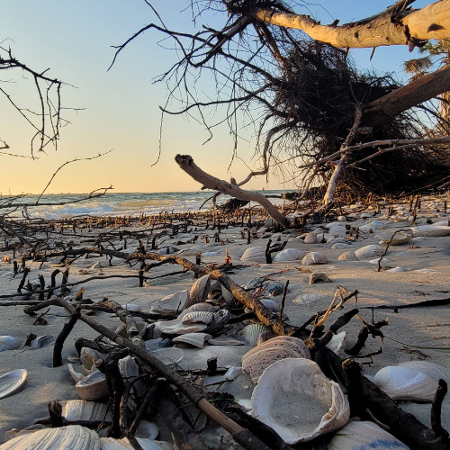 Driftlight V8_Melodic House