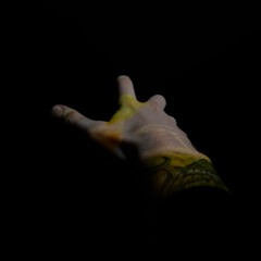 MOKO: REC-30-09-2025