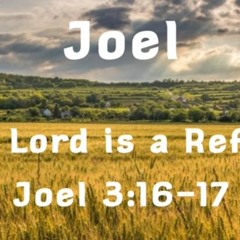 The Lord Is A Refuge Joel 3: 16 - 17
