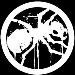 Tanookify Thursday Session - THE PRODIGY SHOWCASE SPECIAL