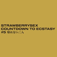 COUNTDOWN TO ECSTASY #5 帰れない二人