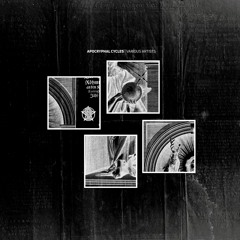 Apocryphal Cycles - Various Artists - ART21013 - preview