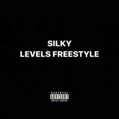 Levels Freestyle