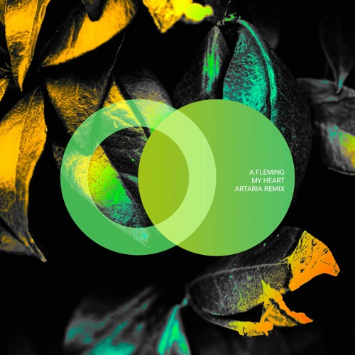 A. Fleming - My Heart (Original Mix)