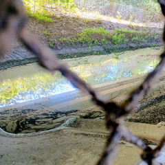 the art of repetition