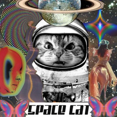 space cat