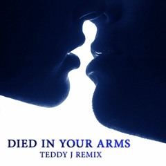 Teddy J - Died In Your Arms (Instrumental)