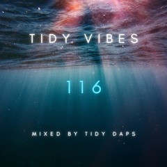 Tidy Vibes 116