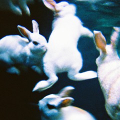 Cinema - Skrillex (bodydbl torrent)