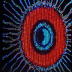 All Dogs, No Masters