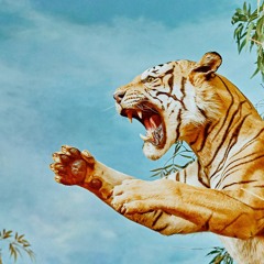 Year of the Tiger