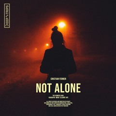 Cristian Ferrer - Not Alone (Elegant Ape Remix)