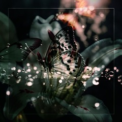 afterlife