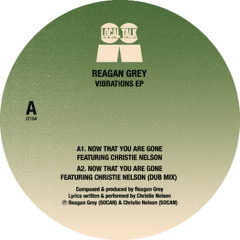 Now That You Are Gone (Featuring Christie Nelson) (Dub Mix)