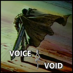 Voice Of Void - Black Swordsman
