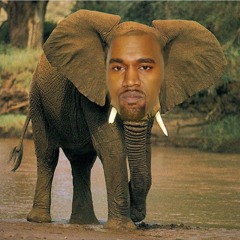 Black Skinhead X Elephant (skip to 40 secs)
