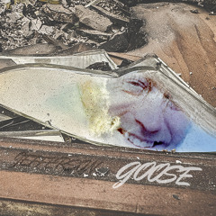 GOOSE