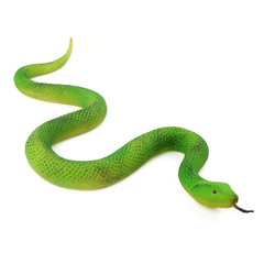 𓆙 Ｅｔａ Ｓｅｒｐｅｎｔｉｓ 𓆙