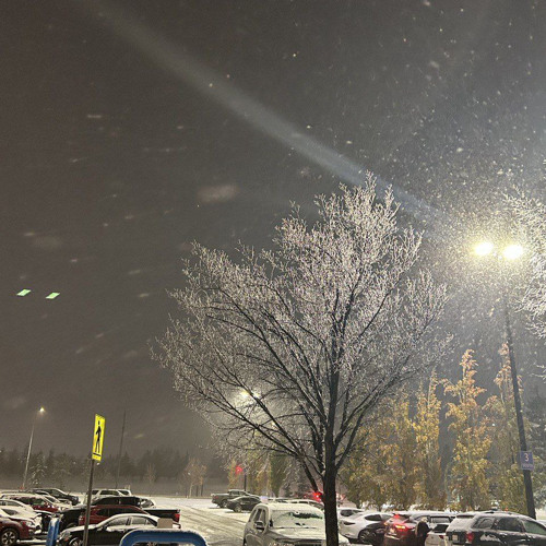 Stream Oneheart Voices Slowed By Alex Listen Online For Free On