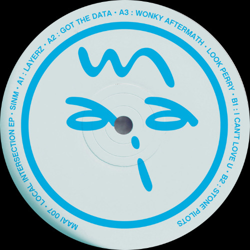 SINM ─ Got The Data [MAAI007]