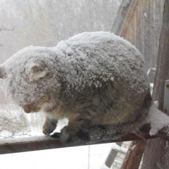 konfuz - кайф ты поймала (instrumental, speed up)