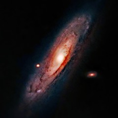Gala