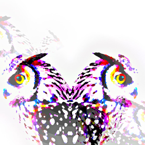 Andy Chizzle - Totem