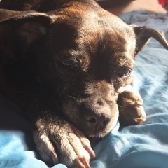 Come and Dance with me(160 bpm)-Das Technophantom