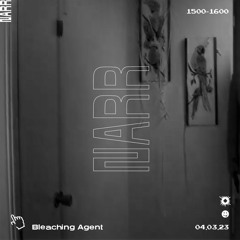 Bleaching Agent 04/03/2023