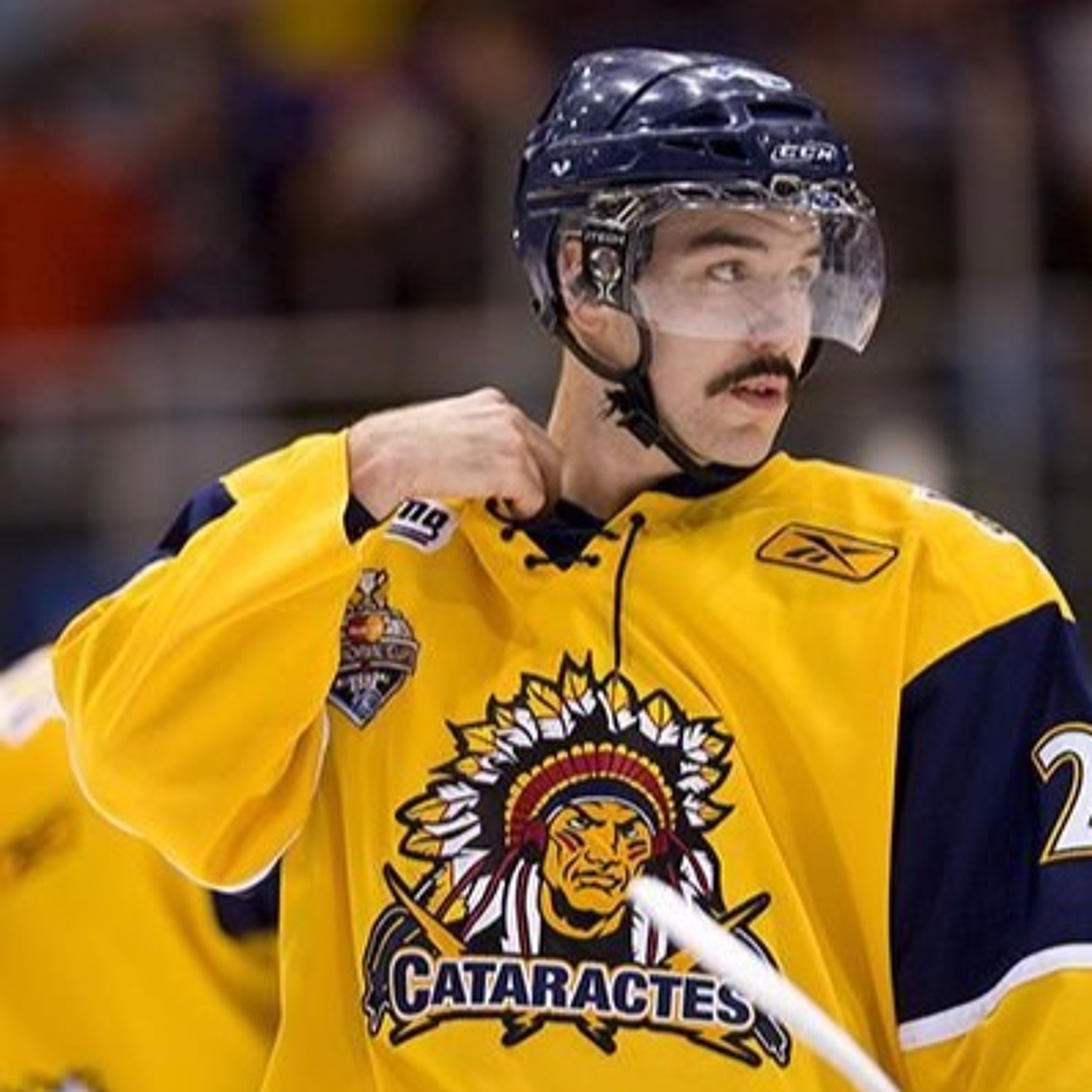 Cataractes de Shawinigan