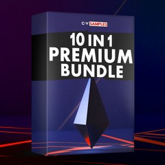 NEW | 10 in 1 Premium Bundle | 70% OFF | 6.26 GB