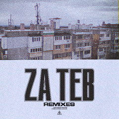 Za Teb Remixes