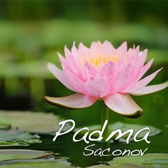 Padma