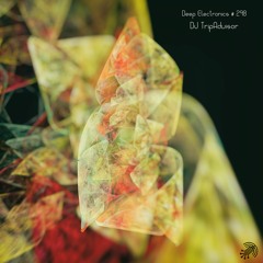 Deep Electronics # 298 - DJ Tripadvisor