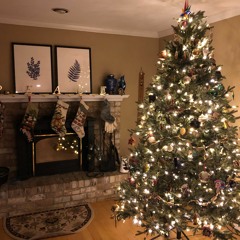 Christmas Jazz Favorites #1 - Niehaus Sax Quartet