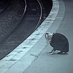 хватит-nesofa (inst. nesofakushaikakashki)