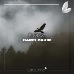 Barış Çakır - Low (Original Mix)