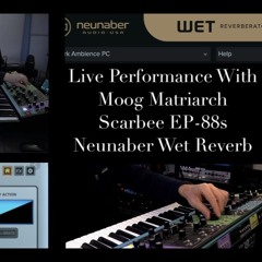 Moog Matriarch, Scarbee EP88s and Neunaber Wet Live Peformance