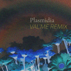 Plasmidia - Theme Park (Val'Me Remix)