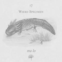 Wierd Specimen Mix #17 (10.10.2019)